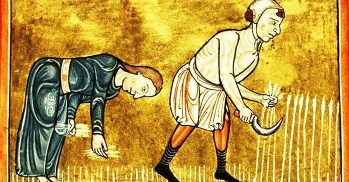 Czym zajmowali się chłopi w średniowieczu? Praca, życie i obowiązki Czym zajmowali się chłopi w średniowieczu? Praca, życie i obowiązki