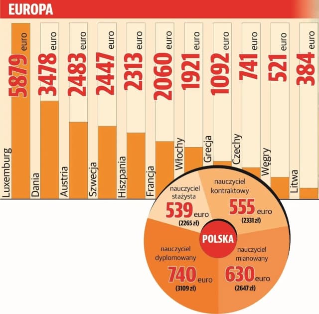 Ile zarabia nauczyciel biologii? Zaskakujące różnice w wynagrodzeniach Ile zarabia nauczyciel biologii? Zaskakujące różnice w wynagrodzeniach