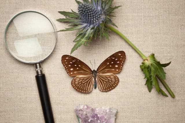 Skuteczne metody jak nauczyć się biologii i uniknąć trudności w nauce Skuteczne metody jak nauczyć się biologii i uniknąć trudności w nauce
