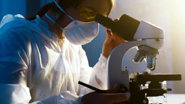 Jak szybko nauczyć się biologii: skuteczne metody na sukces w nauce Jak szybko nauczyć się biologii: skuteczne metody na sukces w nauce
