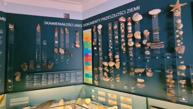 Co znajduje się w muzeum historycznym? Odkryj fascynujące eksponaty Co znajduje się w muzeum historycznym? Odkryj fascynujące eksponaty
