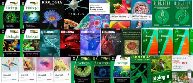 Co można robić po rozszerzonej biologii? Odkryj najlepsze ścieżki kariery Co można robić po rozszerzonej biologii? Odkryj najlepsze ścieżki kariery