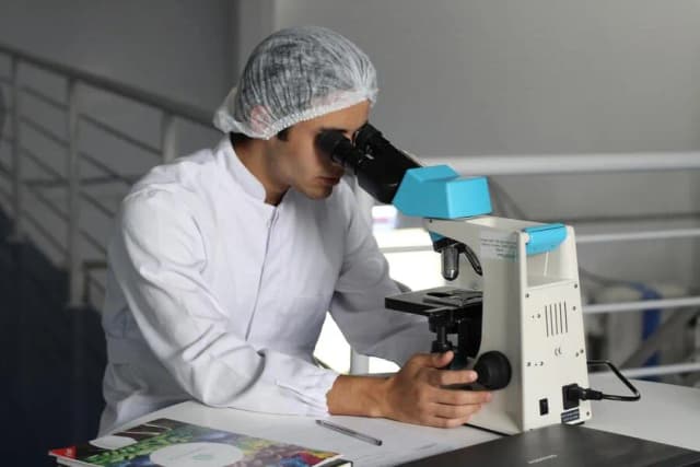 Czy rozszerzona biologia jest trudna? Odkryj, jak ją opanować Czy rozszerzona biologia jest trudna? Odkryj, jak ją opanować