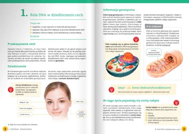 Ile godzin biologii w 8 klasie? Odkryj, co musisz wiedzieć Ile godzin biologii w 8 klasie? Odkryj, co musisz wiedzieć