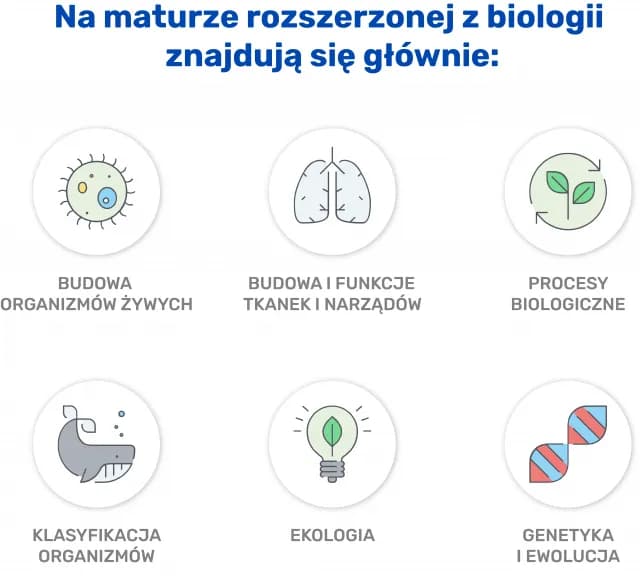 Jak zdać maturę z biologii: skuteczne strategie i materiały do nauki Jak zdać maturę z biologii: skuteczne strategie i materiały do nauki