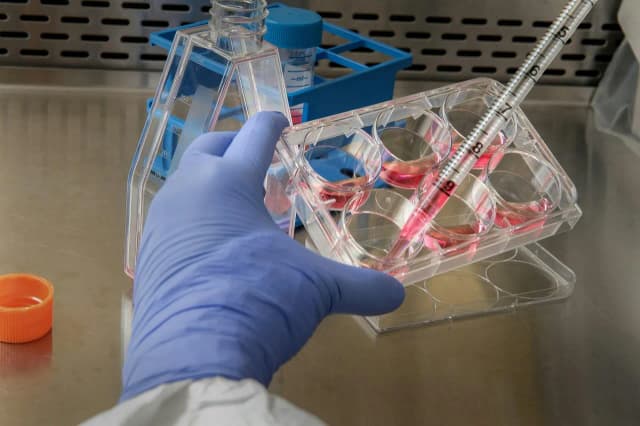 Jakie są dziedziny biologii? Poznaj fascynujące specjalizacje! Jakie są dziedziny biologii? Poznaj fascynujące specjalizacje!