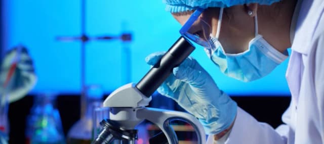 Jakie studia po rozszerzonej biologii? Odkryj najlepsze kierunki dla siebie Jakie studia po rozszerzonej biologii? Odkryj najlepsze kierunki dla siebie