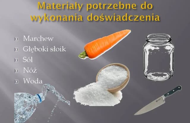 Co to osmoza w biologii? Kluczowy proces dla życia organizmów Co to osmoza w biologii? Kluczowy proces dla życia organizmów