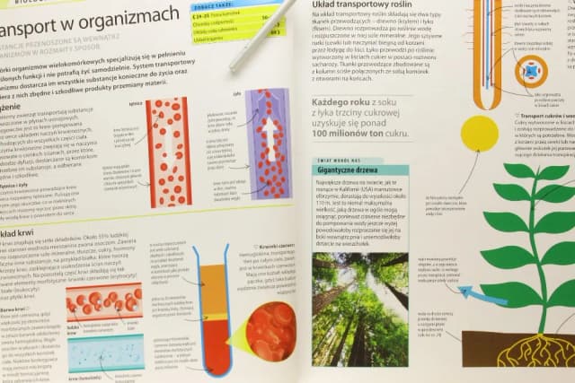Biologia chemia fizyka jakie to proste - jak ułatwić naukę dzieciom Biologia chemia fizyka jakie to proste - jak ułatwić naukę dzieciom